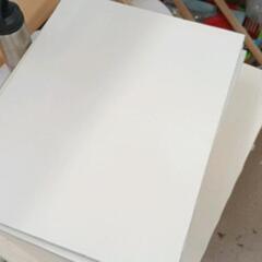 0429-037 油絵用キャンバス