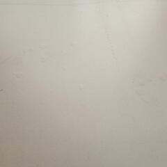 ｢明日まで！｣テレビボードの画像