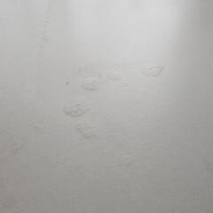 ｢明日まで！｣テレビボードの画像