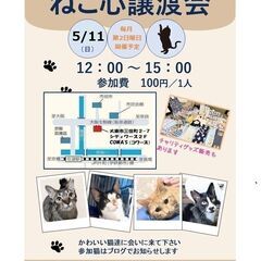 ★譲渡会あります★　スピリチュアルな黒猫さん♪ - 猫