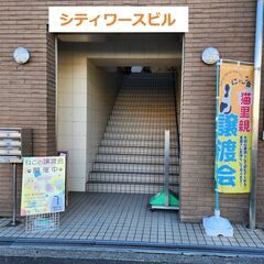 ★譲渡会あります★　スピリチュアルな黒猫さん♪ − 大阪府
