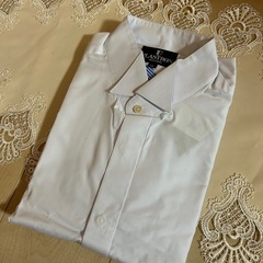⭐︎PLASTRONウィングカッターシャツL L結婚式　新郎シャツ