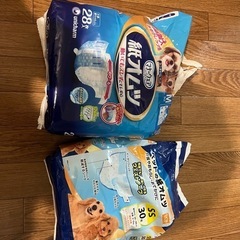 犬用オムツ