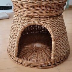 猫ちくらの画像