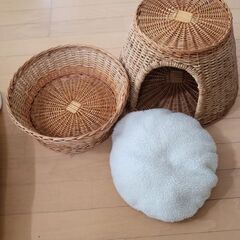 猫ちくらの画像