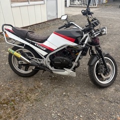 ホンダvt250fe スペシャルエディションの画像