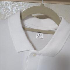 千葉県立柏陵高等学校　半袖ポロシャツ・Yシャツ【まとめ売り】の画像