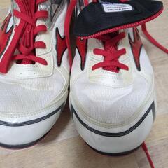 陸上用スパイク　28cmの画像