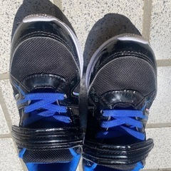 20センチ 運動靴 シューズの画像