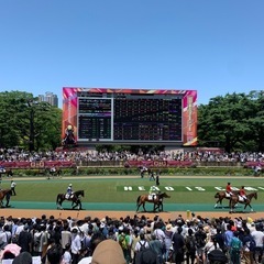 【満員御礼！締め切りさせて頂きます】東京競馬場現地観戦募集です！5月3日土曜日♪ - メンバー募集