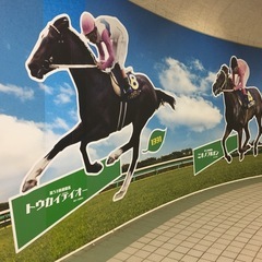 【満員御礼！締め切りさせて頂きます】東京競馬場現地観戦募集です！5月3日土曜日♪ - 友達