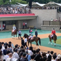 【満員御礼！締め切りさせて頂きます】東京競馬場現地観戦募集です！5月3日土曜日♪ - 杉並区