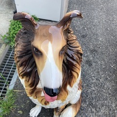 犬　置物の画像