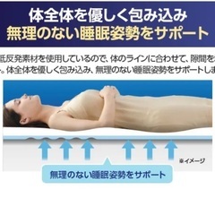 受付締め切りますトゥルースリーパー シングルサイズ