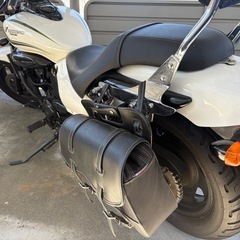 【実動】エリミネーター250V/快適な加速と乗り心地  の画像