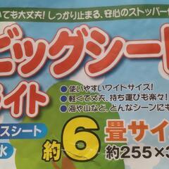 (未開封)レジャーシート６畳グリーンの画像