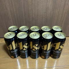 ビール　ザ・ビタリスト 500ml10本セット