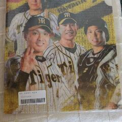 500円　阪神タイガース クリアファイル