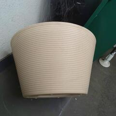 【あげます】メダカ飼育容器　プラ鉢＆トロ箱