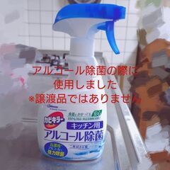 ダイソー　乾きやすいブローブラシ(使用済)の画像