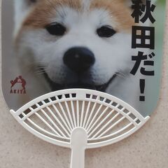 【無料】うちわ