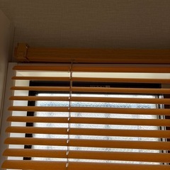 ブラインド　ニトリの画像