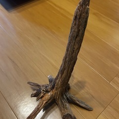 流木