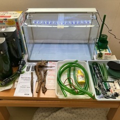 60cmガラス水槽セット（照明・外部フィルター・ろ材込み）