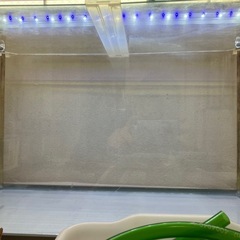 【取引完了】60cmガラス水槽セット（照明・外部フィルター・ろ材込み）の画像