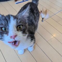 GWピックアップ②