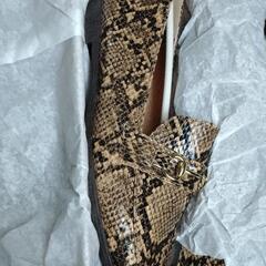 未使用ローファーパイソンの画像