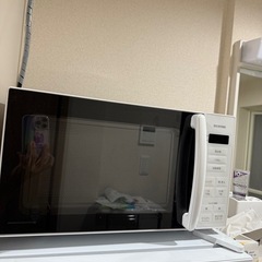 アイリスオーヤマ 電子レンジ