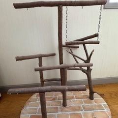 止まり木 中型〜大型鳥さん用　オウム　ペット　