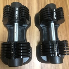 STEADY 可変式ダンベル20kg2個セットの画像