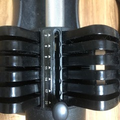 STEADY 可変式ダンベル20kg2個セットの画像