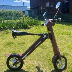 （売れました）BLAZE SMART EV（ブレイズスマートev）の画像
