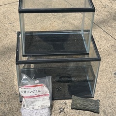 水槽セット