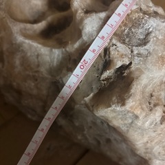 石の画像
