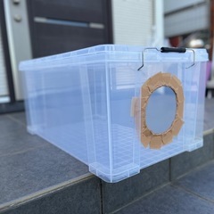 😸地域猫ハウス😺の画像