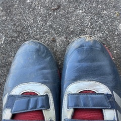 26.5cm アップシューズの画像