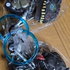 アニマルライダー