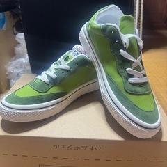 ビジョン日本未発売！グリーン