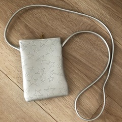 シルバーポシェット