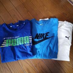 NIKE・PUMA 160cm 3枚