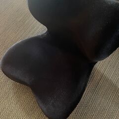 高級骨盤矯正座椅子 Style Premium DX (元値¥3...