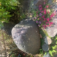 庭石 引き取りのみ の画像