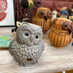 フクロウセット　　の画像
