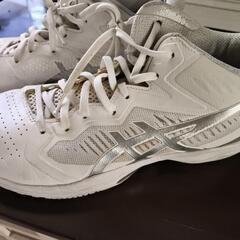 asicsバッシュの画像