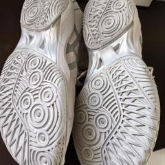 asicsバッシュの画像