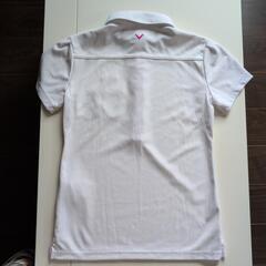 レディースゴルフウェアの画像